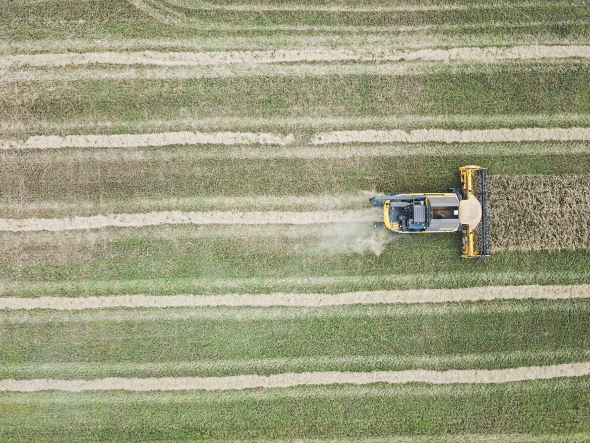 digital agriculture_unsplash