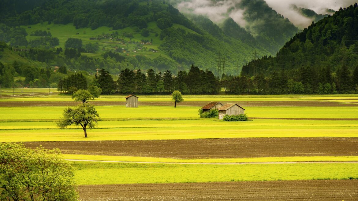 field-g914938ae0_1920