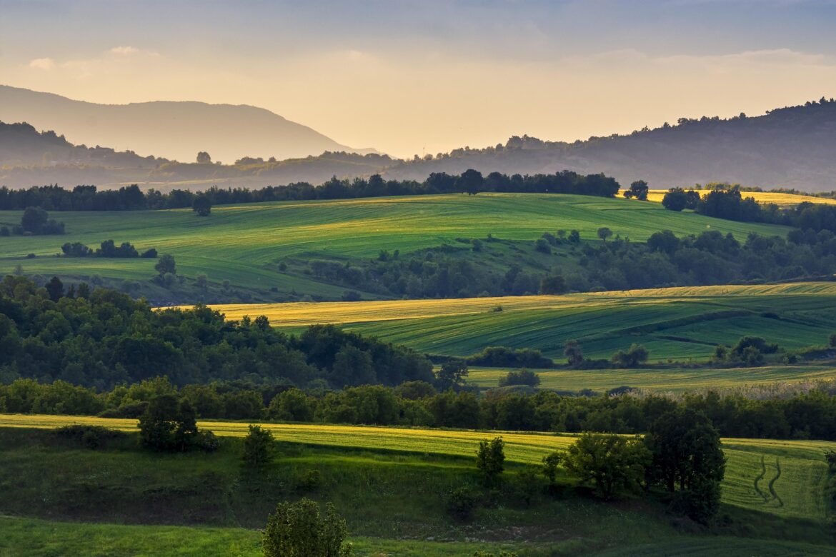 wheat-fields-gbec31d49d_1920
